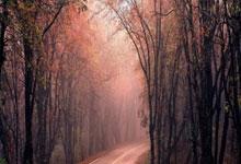 曼城球星德布劳内赞誉瓜迪奥拉战术，球队逐渐找回状态