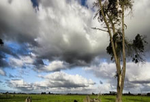 沙尔克强势破敌，平步青云