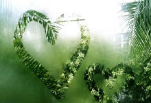 深圳男篮遭遇波折，坚持拼搏争取一线生机