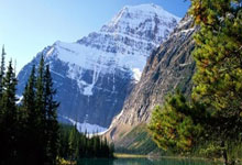 沙尔克强势破敌，平步青云